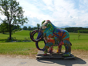 Tollhub 2014 — Foto