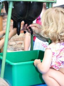 Impressionen vom Tollhub 2011 — Foto